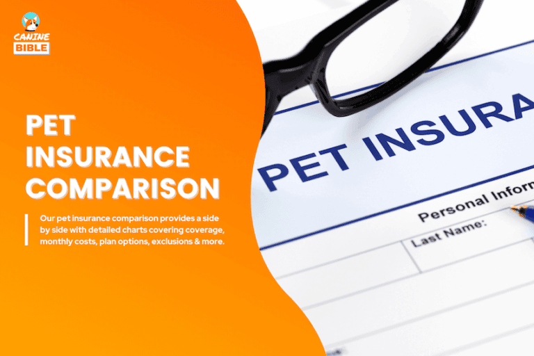 pet insurance comparison