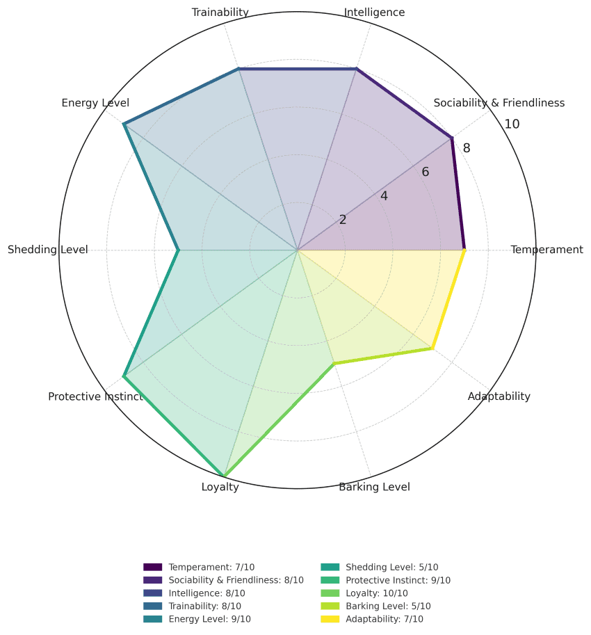 pit bull traits