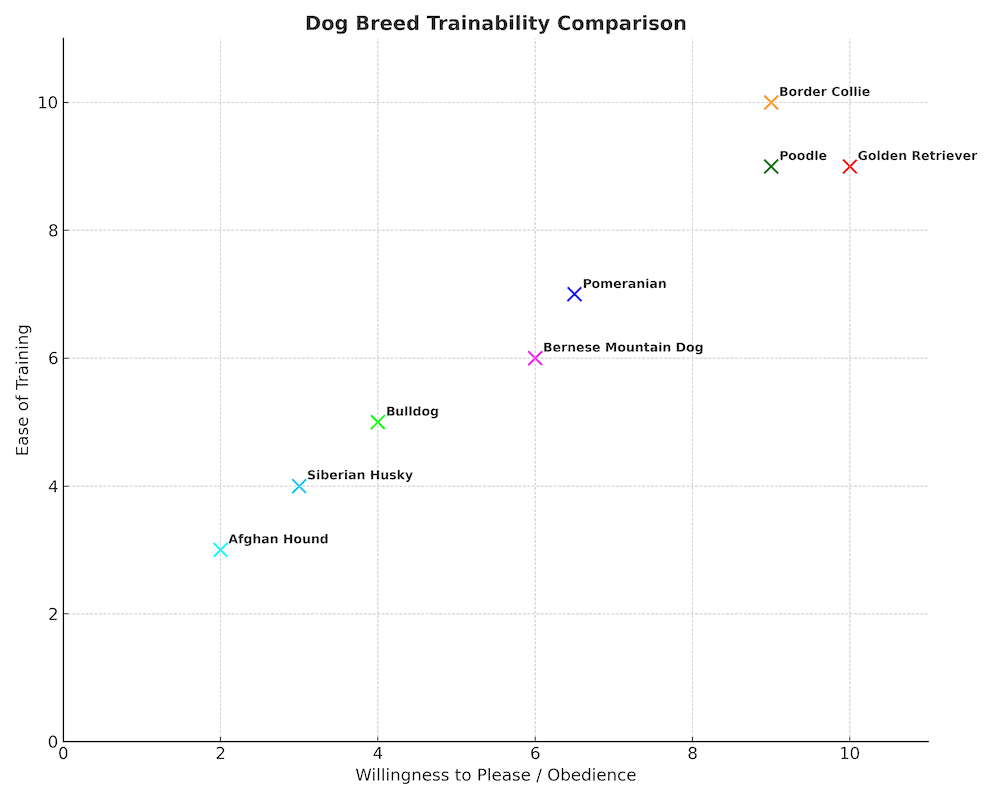 pomeranian trainability