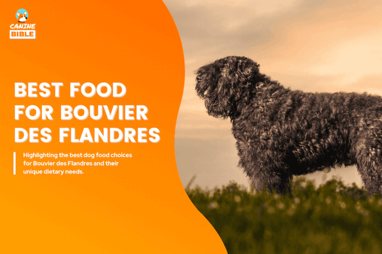 Best Dog Food For Bouvier des Flandres