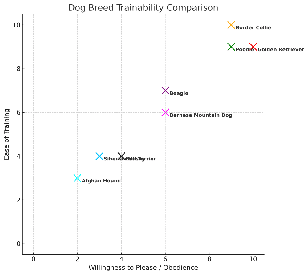 Bull Terrier trainability chart