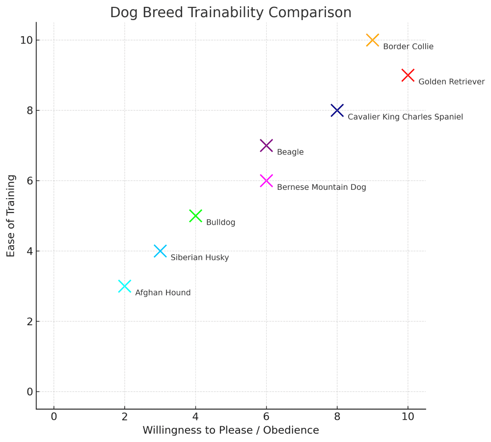 Cavalier King Charles Spaniel trainability chart