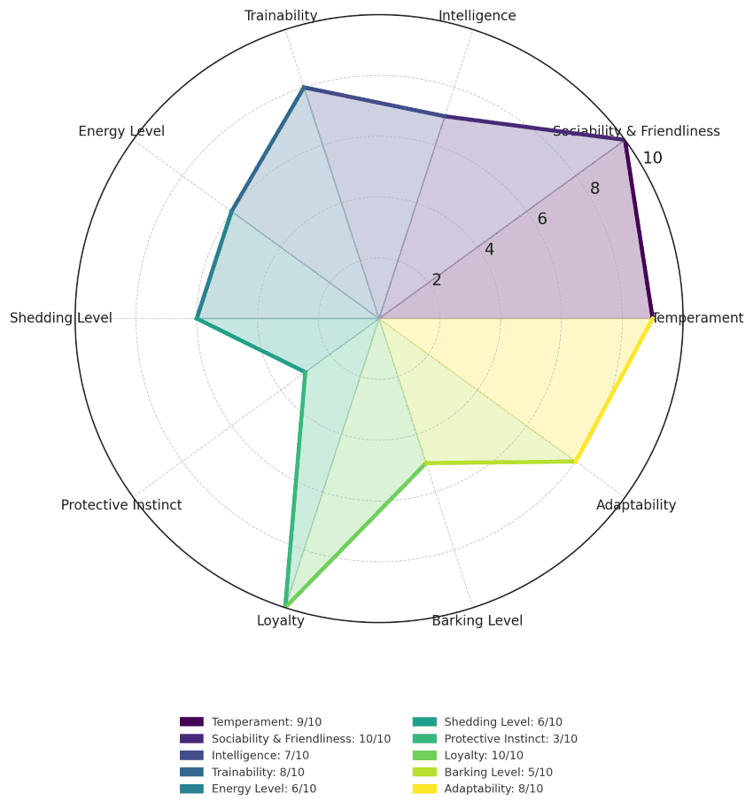 Cavalier King Charles Spaniel traits