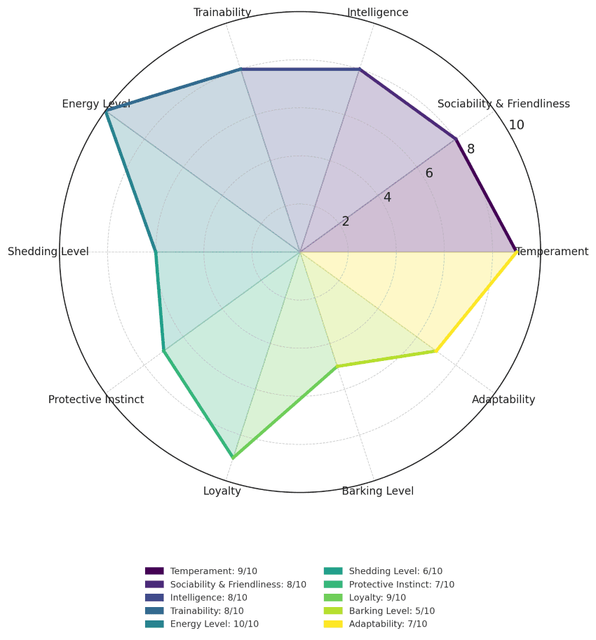 German Shorthaired Pointer traits