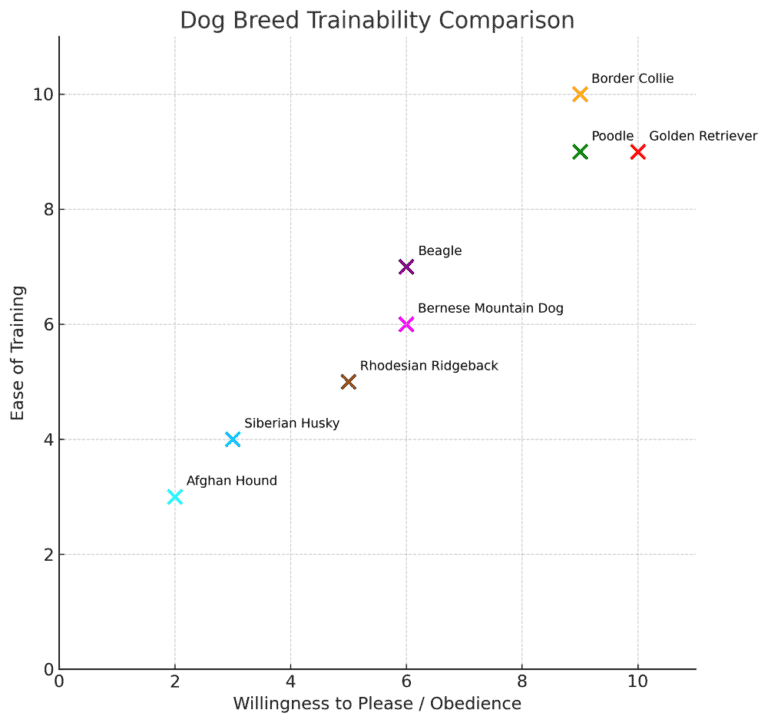 Rhodesian Ridgeback Trainability Rhodesian Ridgeback Dog Breed Information: Traits, Facts, Care & More ...