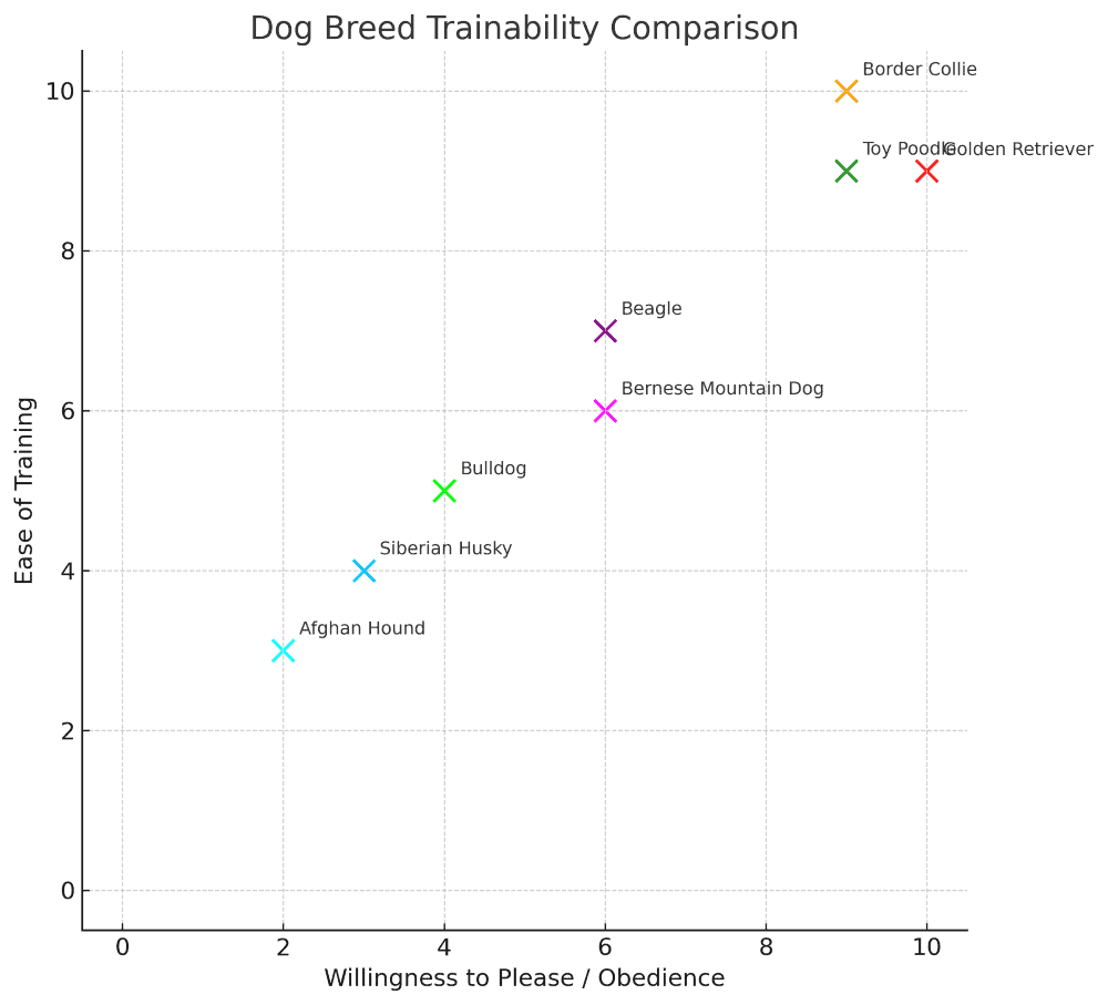 Toy Poodle trainability chart