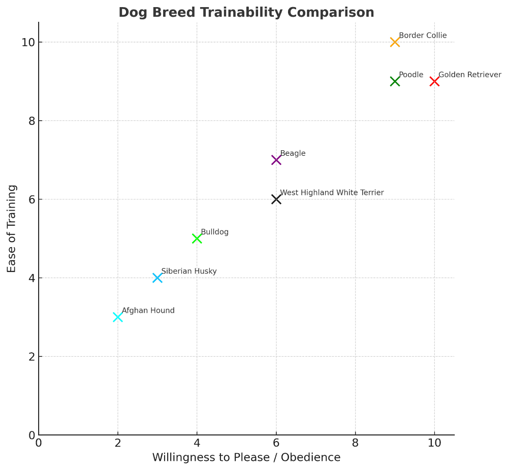 Dog breed trainability comparison chart, training difficulty, trainability levels, dog breed training ease, canine obedience training comparison.