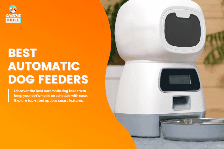 best automatic dog feeder