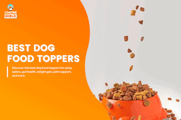 best dog food toppers