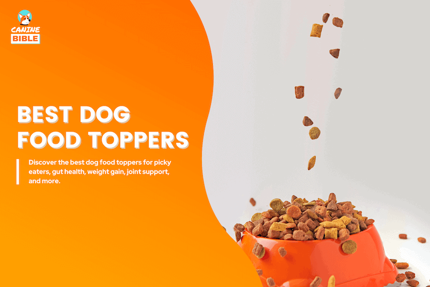 best dog food toppers