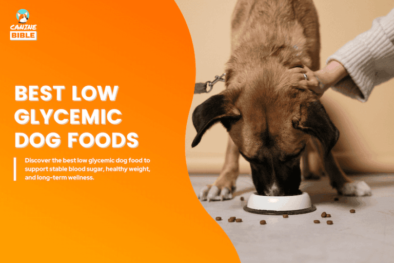 best low glycemic dog food