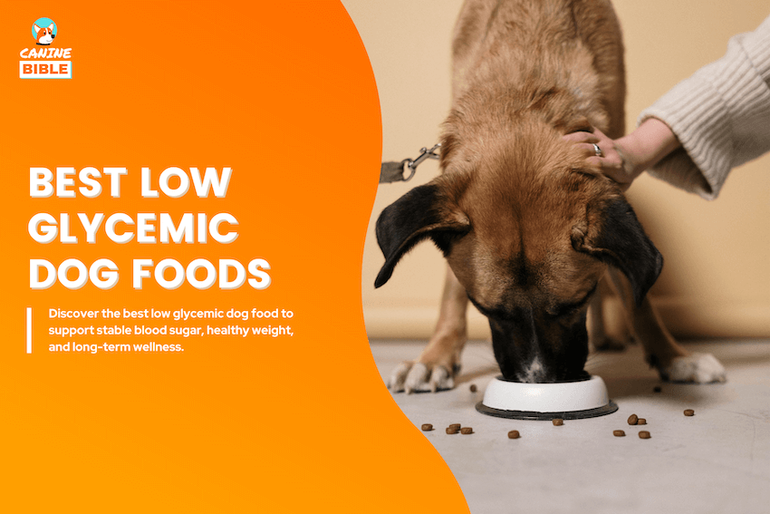 best low glycemic dog food