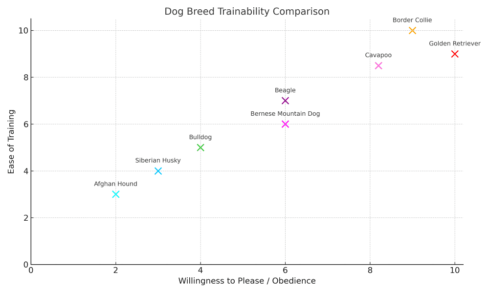 cavapoo trainability chart