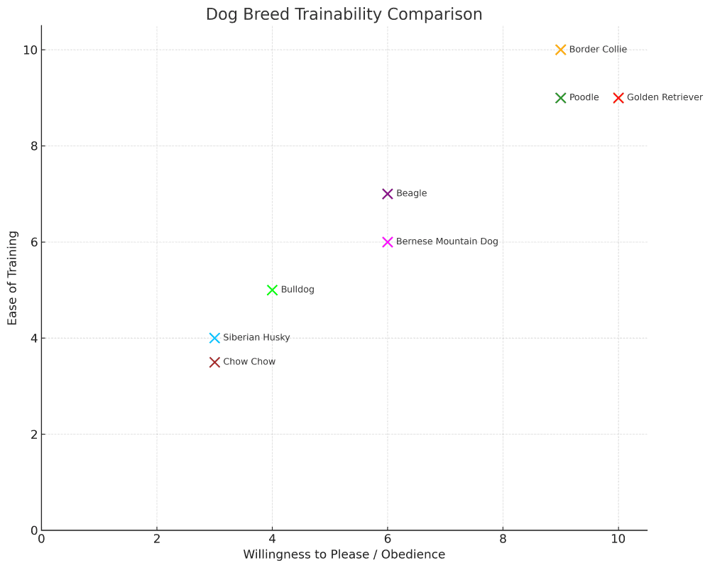 chow chow trainability chart