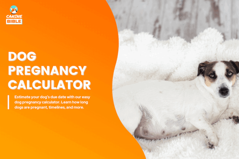 dog pregnancy calculator