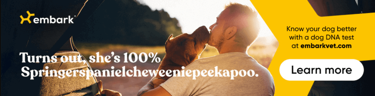 Find out your dog’s breed mix, health risks, and more with a simple DNA test.