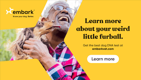 Find out your dog’s breed mix, health risks, and more with a simple DNA test.