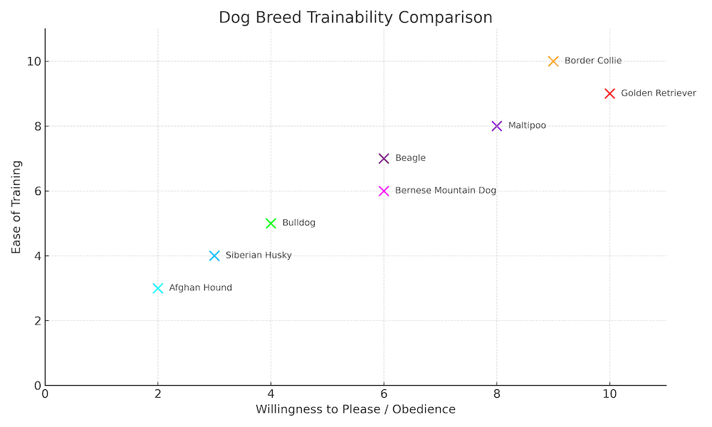 maltipoo trainability chart