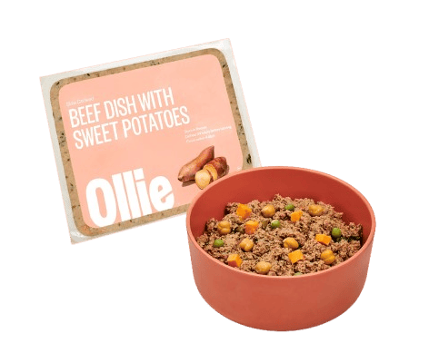 Ollie fresh dog food