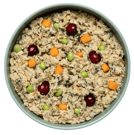 ollie fresh dog food chicken recipe