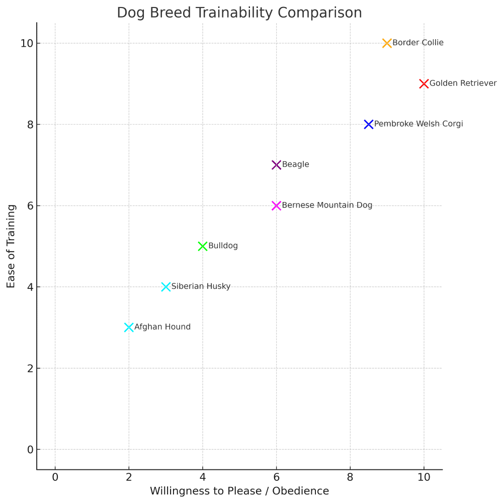 pembroke welsh corgi trainability chart