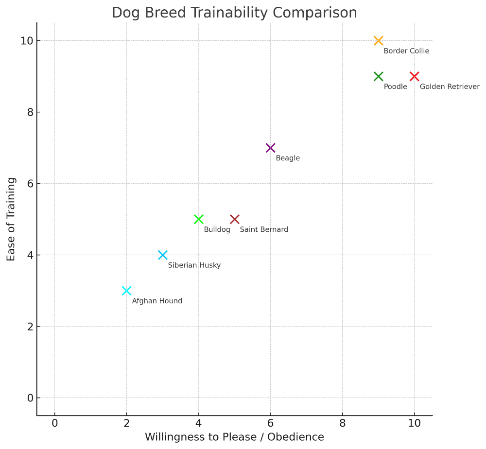 saint bernard trainability chart