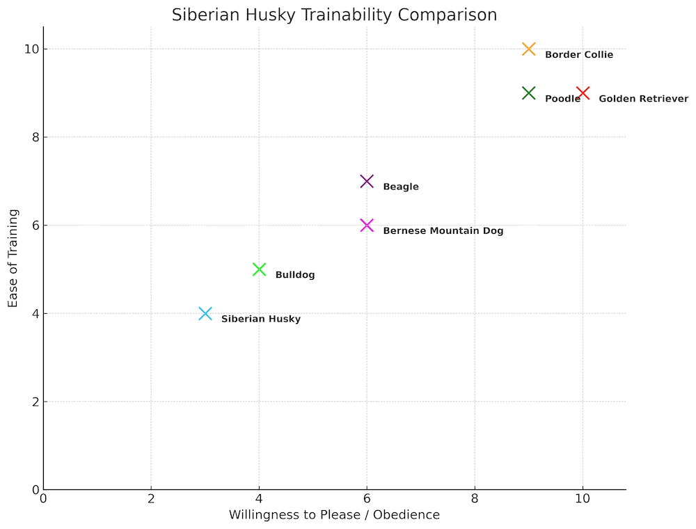 siberian husky Trainability chart