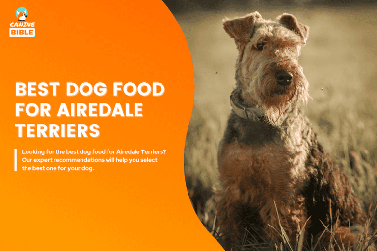Best Dog Food For Airedale Terriers