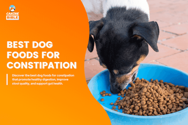 best dog food for constipation