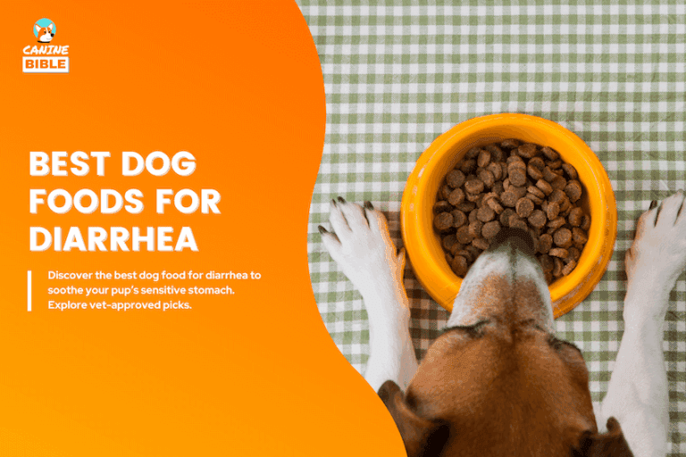 best dog food for diarrhea