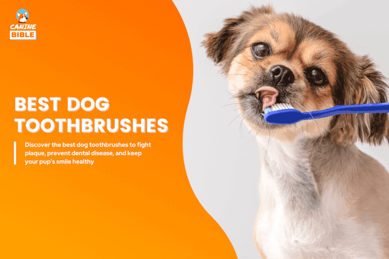 best dog toothbrushes