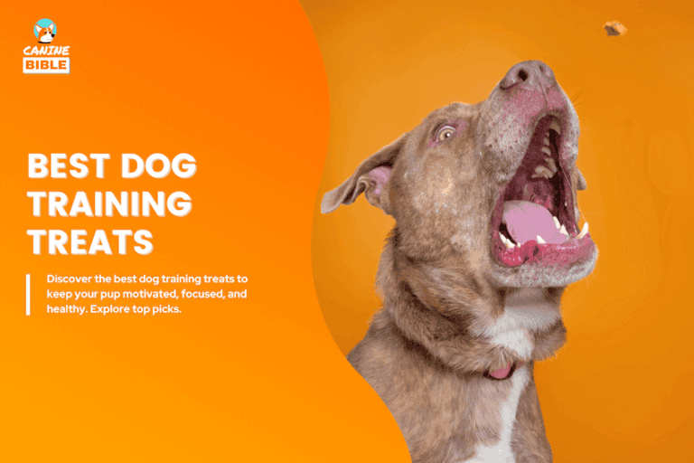 20 Best Dog Training Treats in 2025: Vet & Trainer Approved