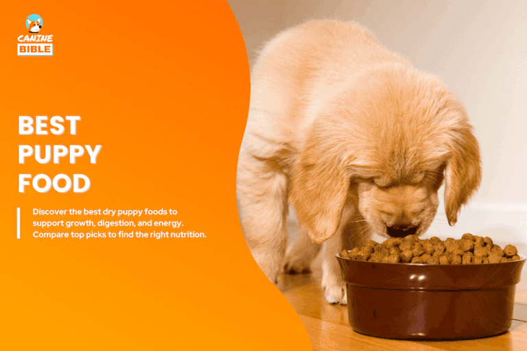 best dry puppy foods