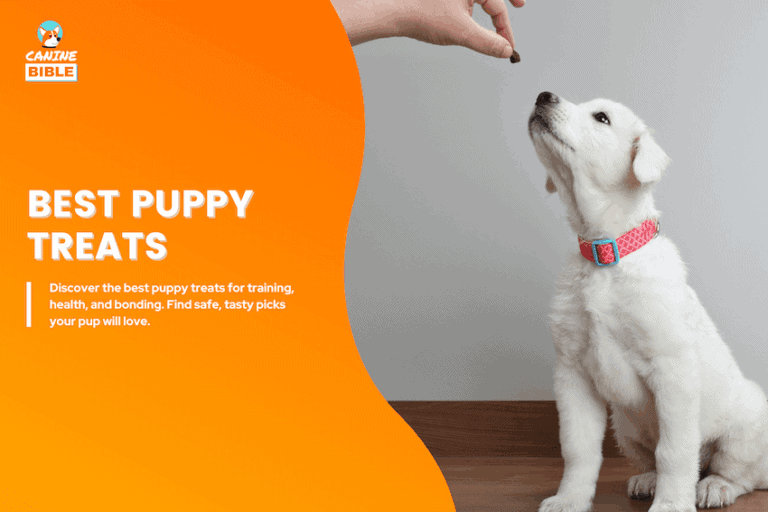 best puppy treats