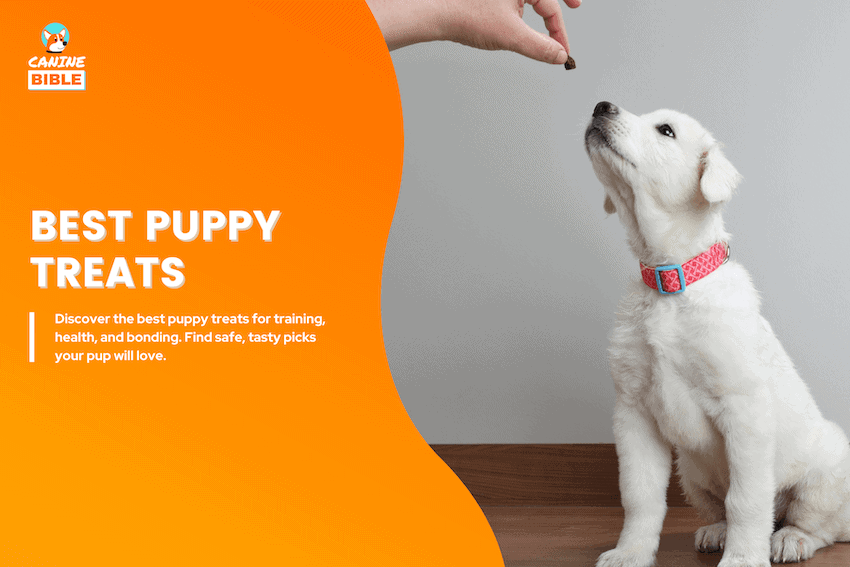 best puppy treats