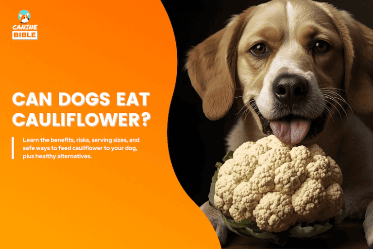 can dogs eat cauliflower