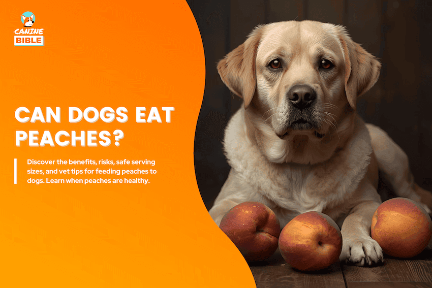 can dogs eat peaches