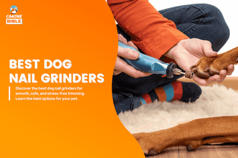 best dog nail grinders