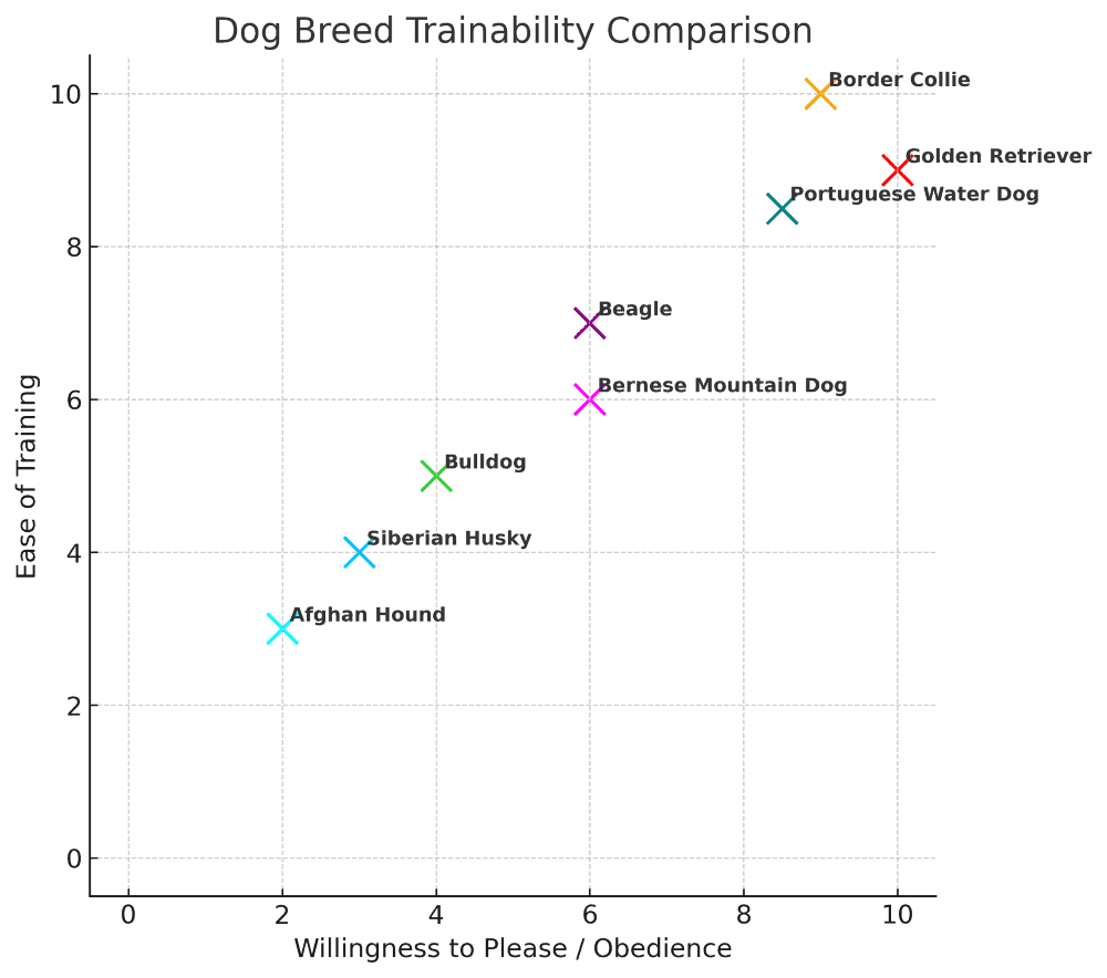 portuguese water dog trainabilityd