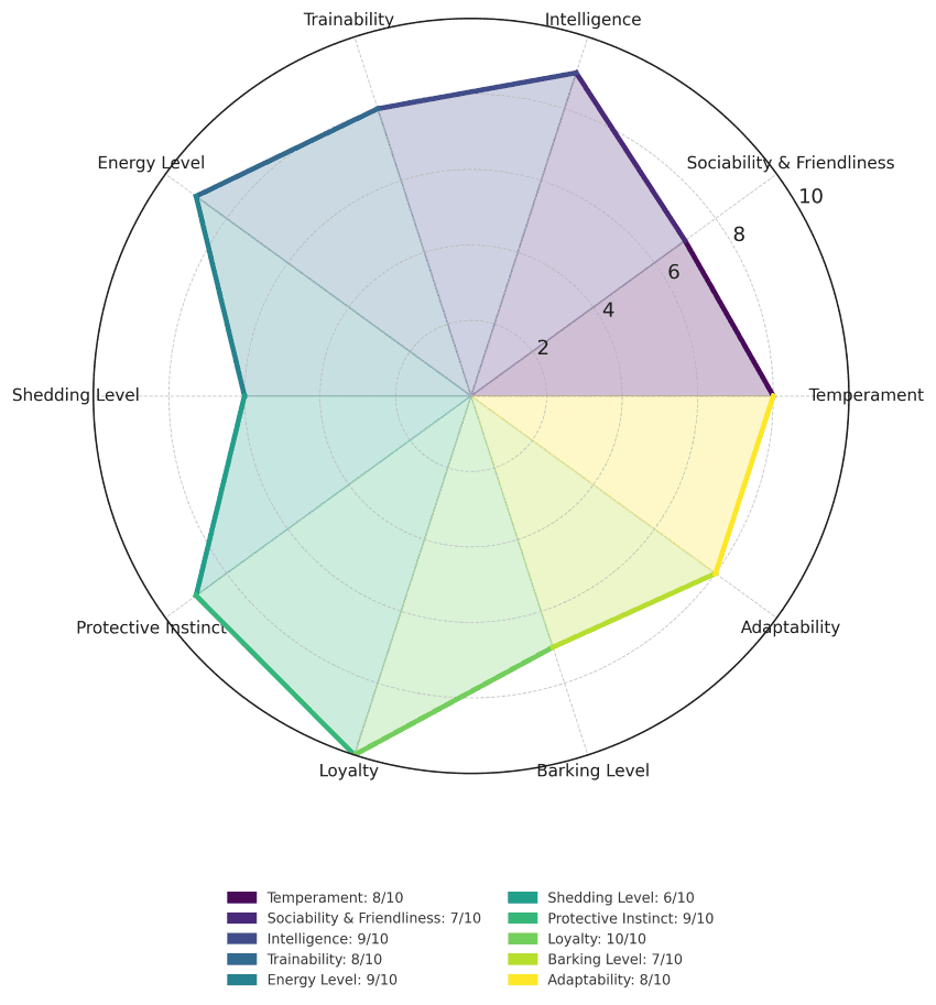 Airedale Terrier traits