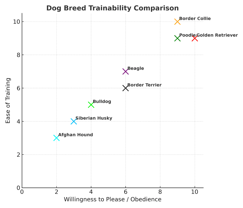 Border Terrier trainability chart