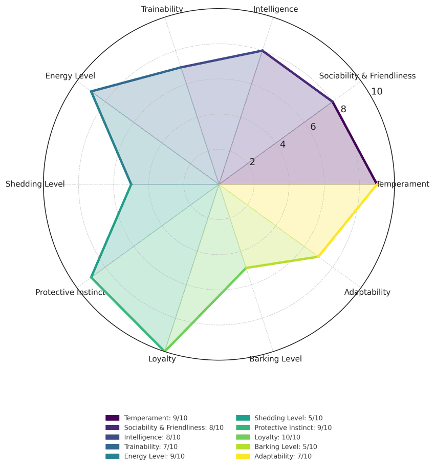 Staffordshire Bull Terrier traits