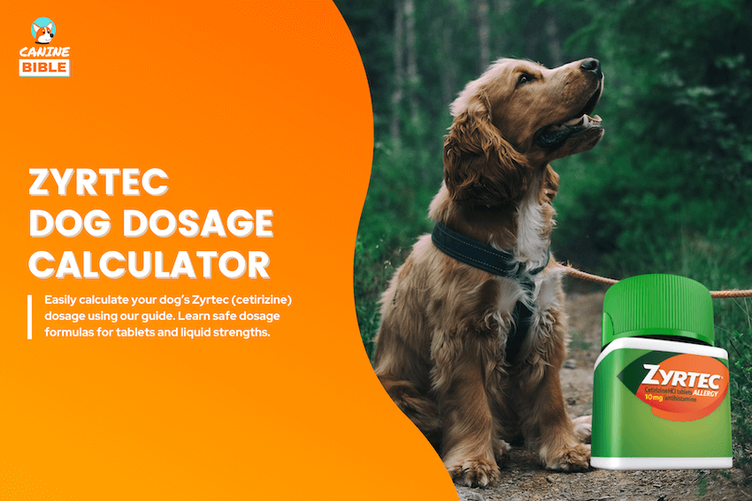 Zyrtec dog dosage calculator