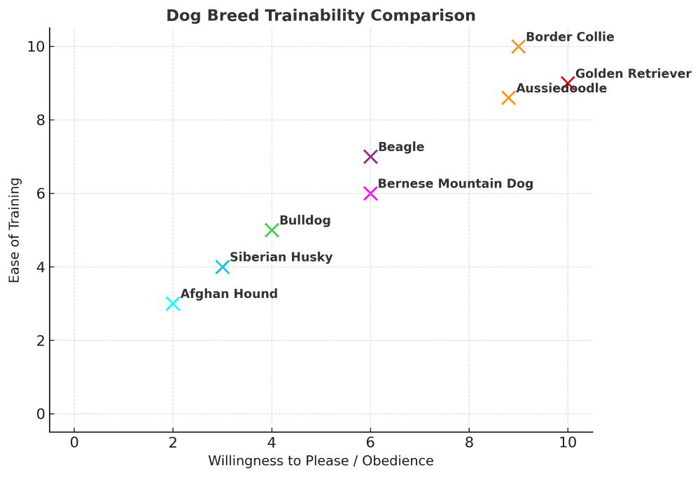 aussiedoodle trainability chart