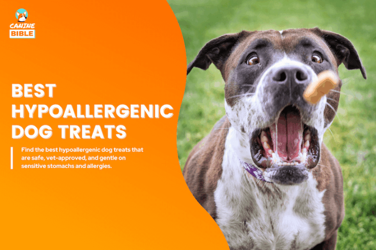 best Hypoallergenic dog treats
