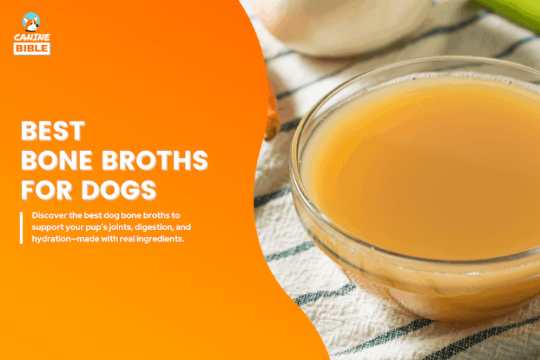 best bone broth for dogs