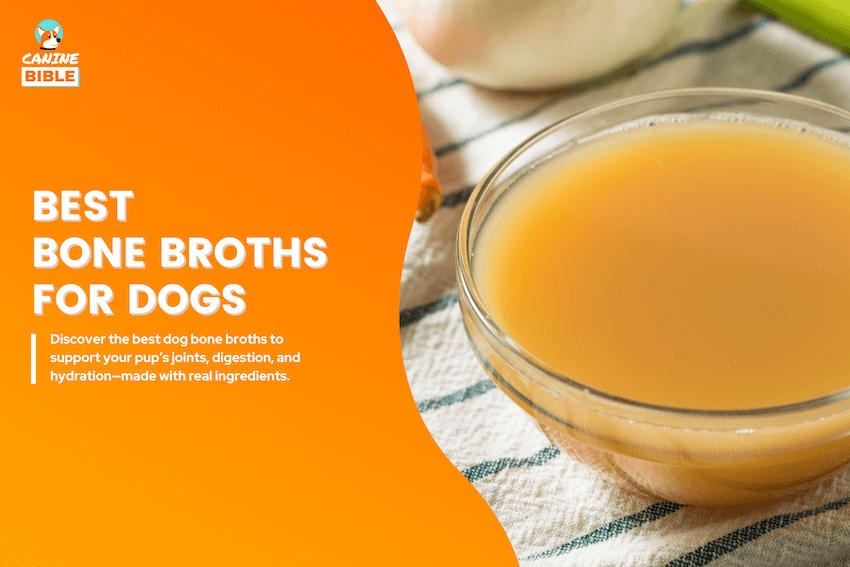 best bone broth for dogs