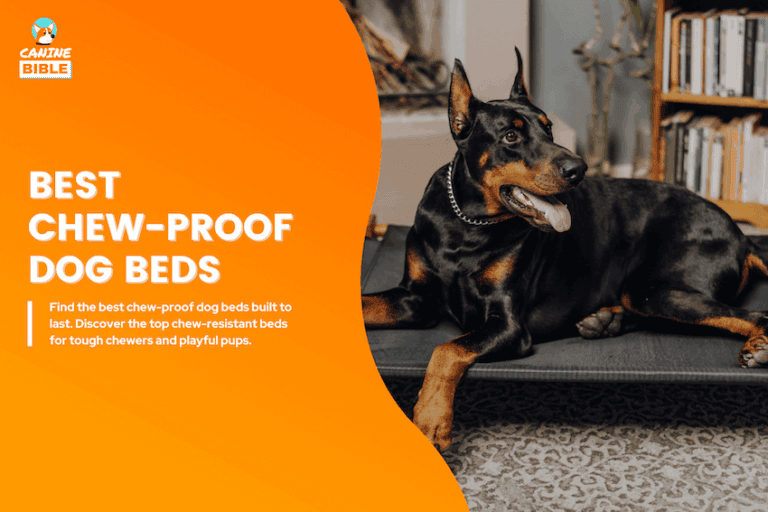 best chew-proof dog beds