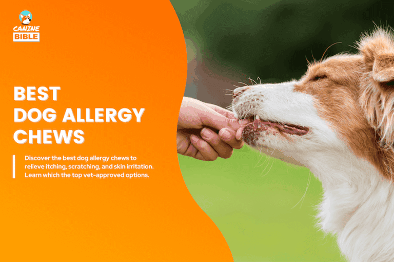 best dog allergy chews