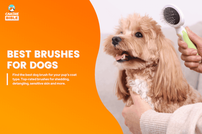 best dog brushes